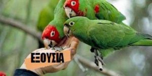 Read more about the article Εμπαίζουν τους δανειολήπτες, διαστρεβλώνουν την αλήθεια