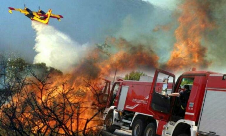 Read more about the article Εκκένωση: Αφήστε το δάσος να καεί!