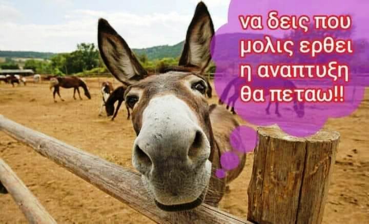 Read more about the article Με την ανάπτυξη θα πετάξουν μέχρι και οι γάιδαροι!